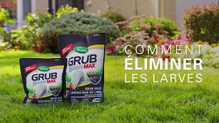 GRUB B GON INSECTICIDE            1.4 KG